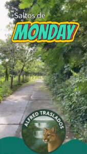 MONDAY